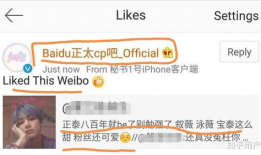 正泰官方爆料视频最新版,精彩瞬间与幕后故事大公开